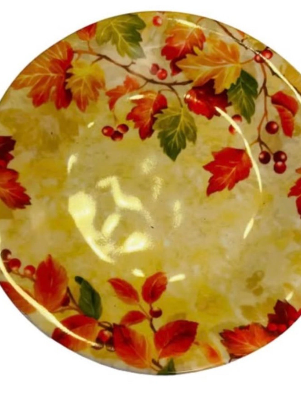 Fall Ceramic Serving Salad Dessert Plates Set 9 Micro-Dish-Oven Safe Retail $89